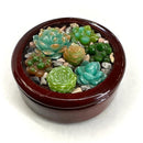 6/28:Freeze & Fusing: Glass Succulent Box 2-5pm