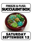 9/12:Freeze & Fusing: Glass Succulent Box Saturday 2-4pm