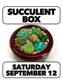 9/12:Freeze & Fusing: Glass Succulent Box Saturday 2-4pm