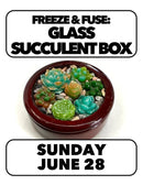 (Filling Fast!) 6/28:Freeze & Fusing: Glass Succulent Box 2-5pm