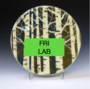 3/6-3/27: FUSING FRIDAY! 10-1pm  (4 Weeks)